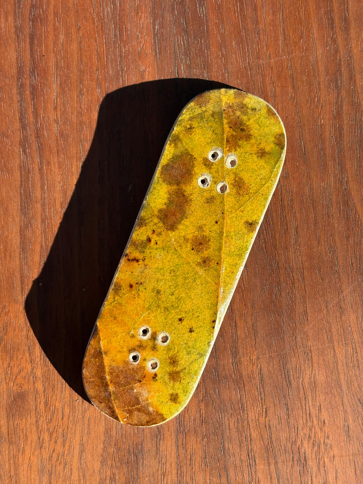 Fall Leaf Series - 32mm (1 of 25)