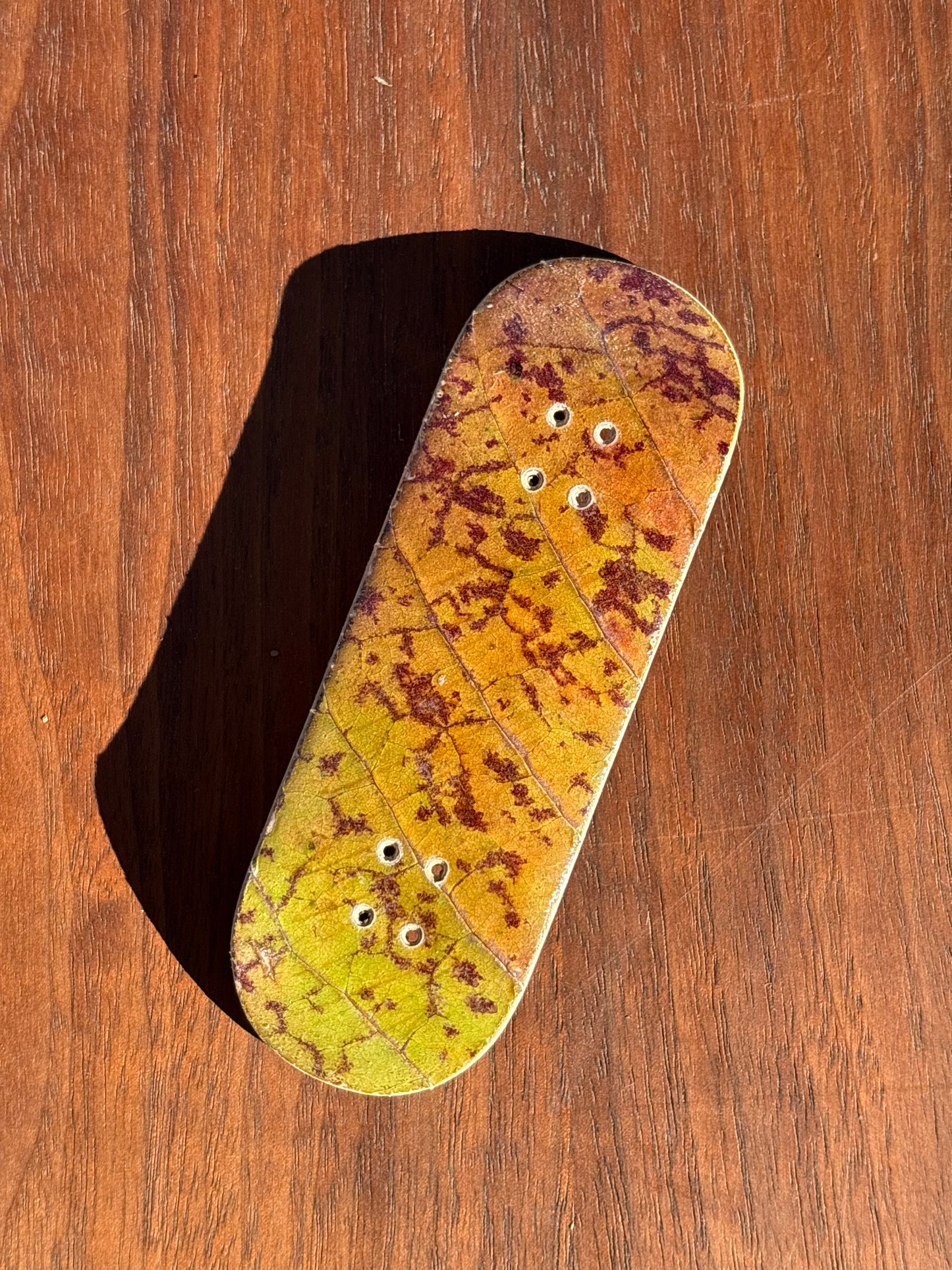 Fall Leaf Series - 33mm (1 of 25)