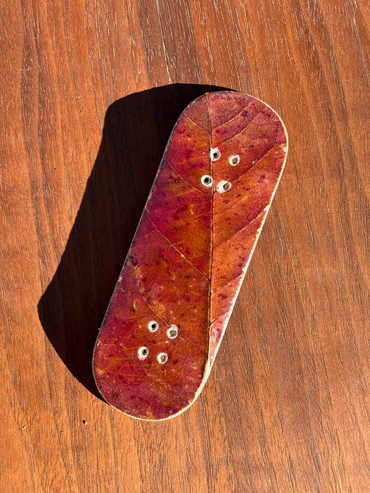 Fall Leaf Series - 33mm (1 of 25)