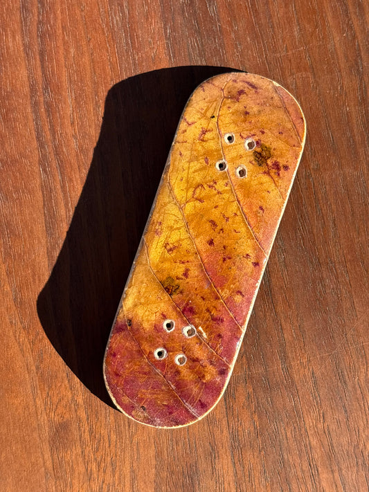 Fall Leaf Series - 33mm (1 of 25)