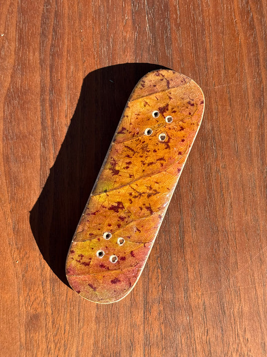 Fall Leaf Series - 30mm (1 of 25)